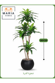 Artificial Corn Leaf Tree 180 cm Ð Indoor Faux Plant with Black Pot