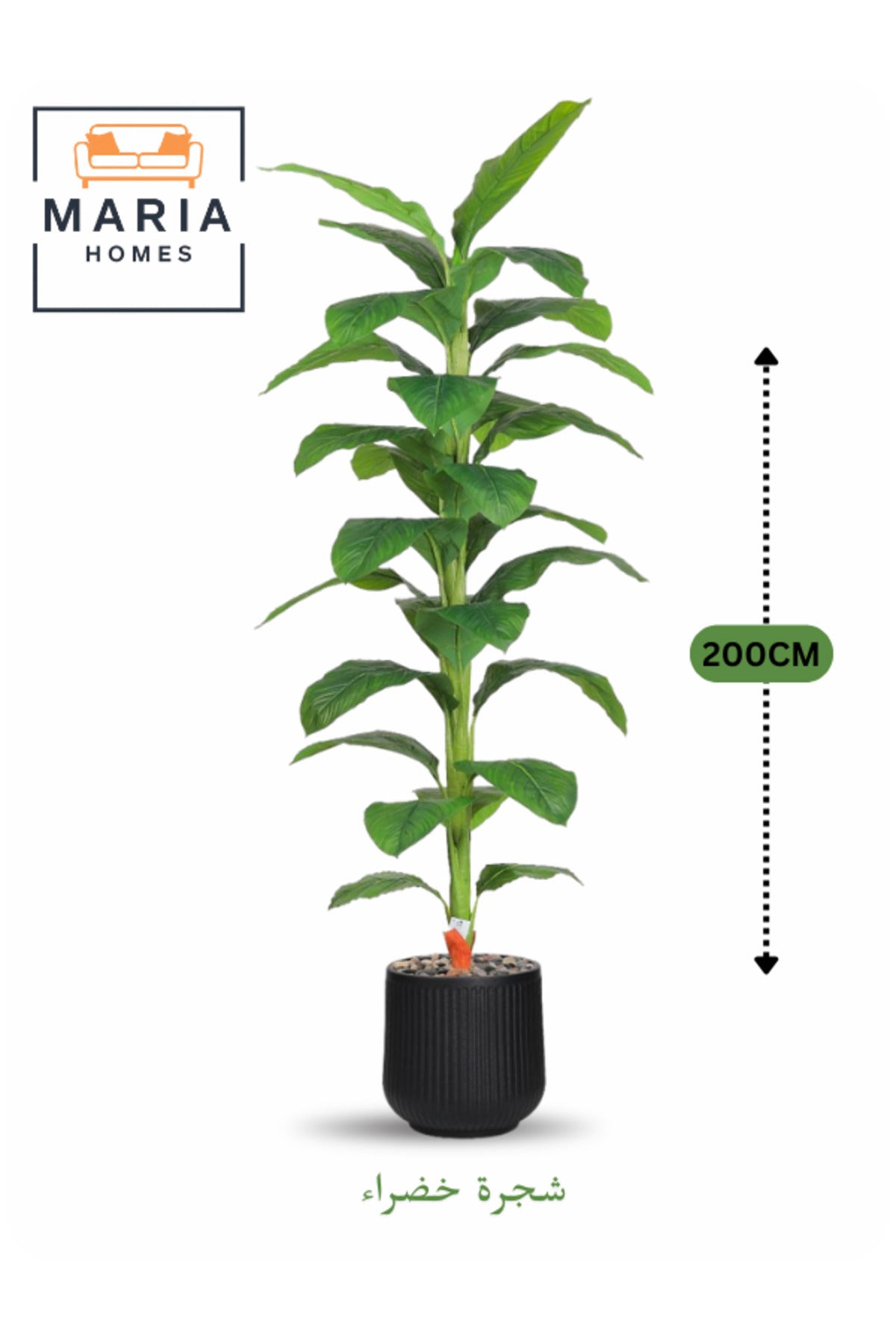 Artificial Green Leaf Tree 200 cm Ð Decorative Tall Plant with Black Plastic Pot