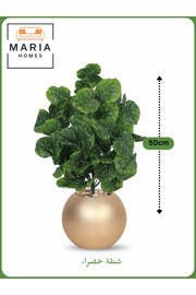 Artificial Green Shrub 50 cm Ð Small Decorative Plant with Gold Pot