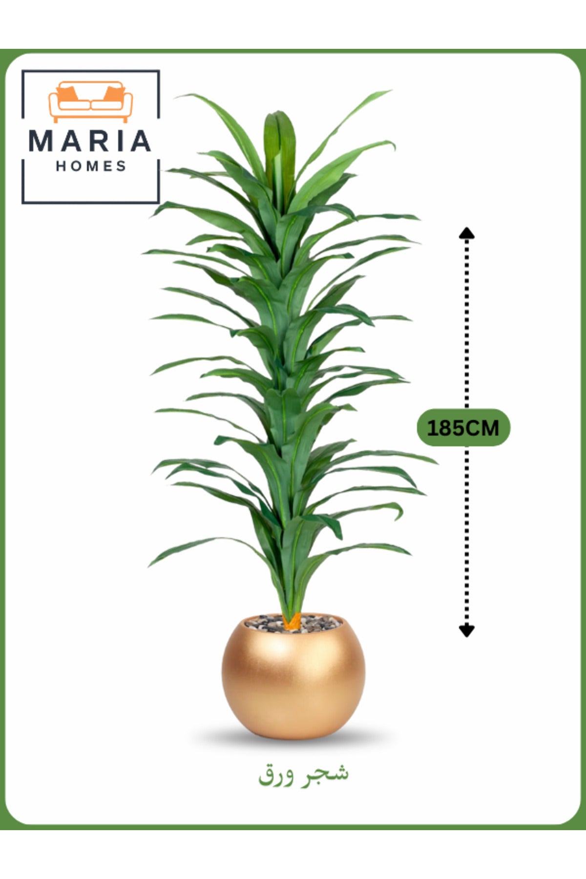 Artificial Corn Leaf Tree 185 cm Ð Decorative Indoor Plant with Gold Plastic Pot