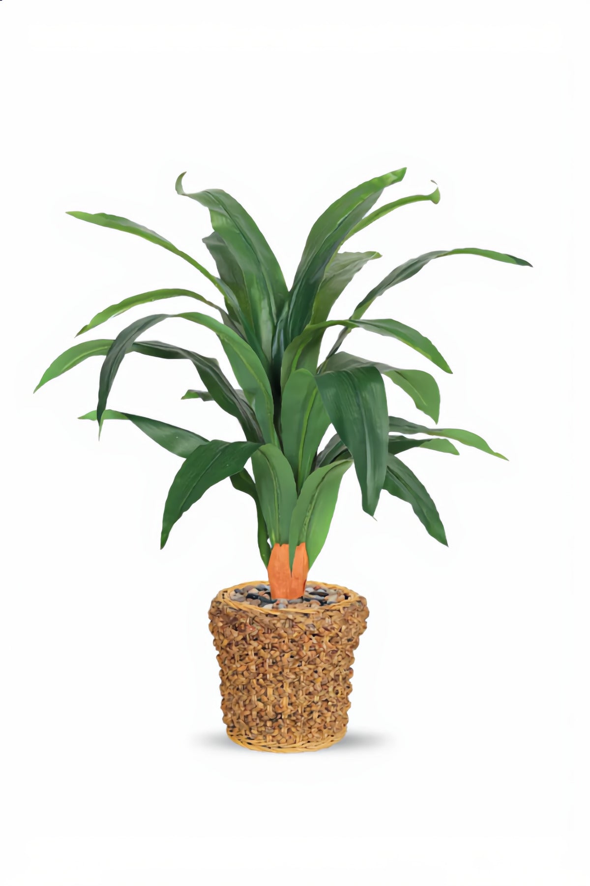 Artificial Corn Leaf Plant 80 cm – Decorative Green Plant with Woven Basket Pot for home and office