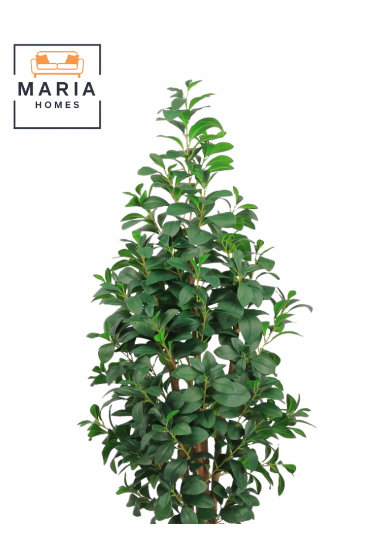 Artificial Lemon Leaf Tree 165 cm Ð Green Foliage in Round Golden Plastic Pot for home decor