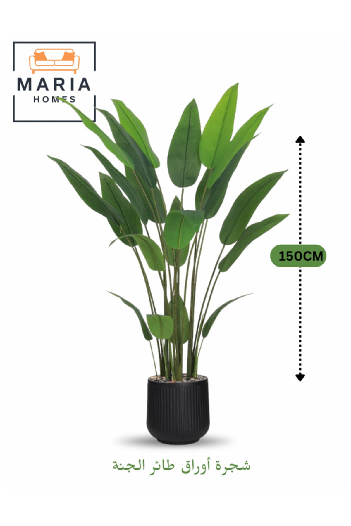 Artificial Bird of Paradise Plant 150 cm Ð Decorative Indoor Tree with Black Pot for Home & Office