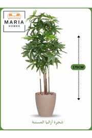 Artificial Aralia Tree 175 cm – 5 Branches in Beige Plastic Pot