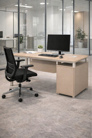 Modern Walnut Office Desk with Side Storage Cabinet 180 _ 80 _ 75 cm