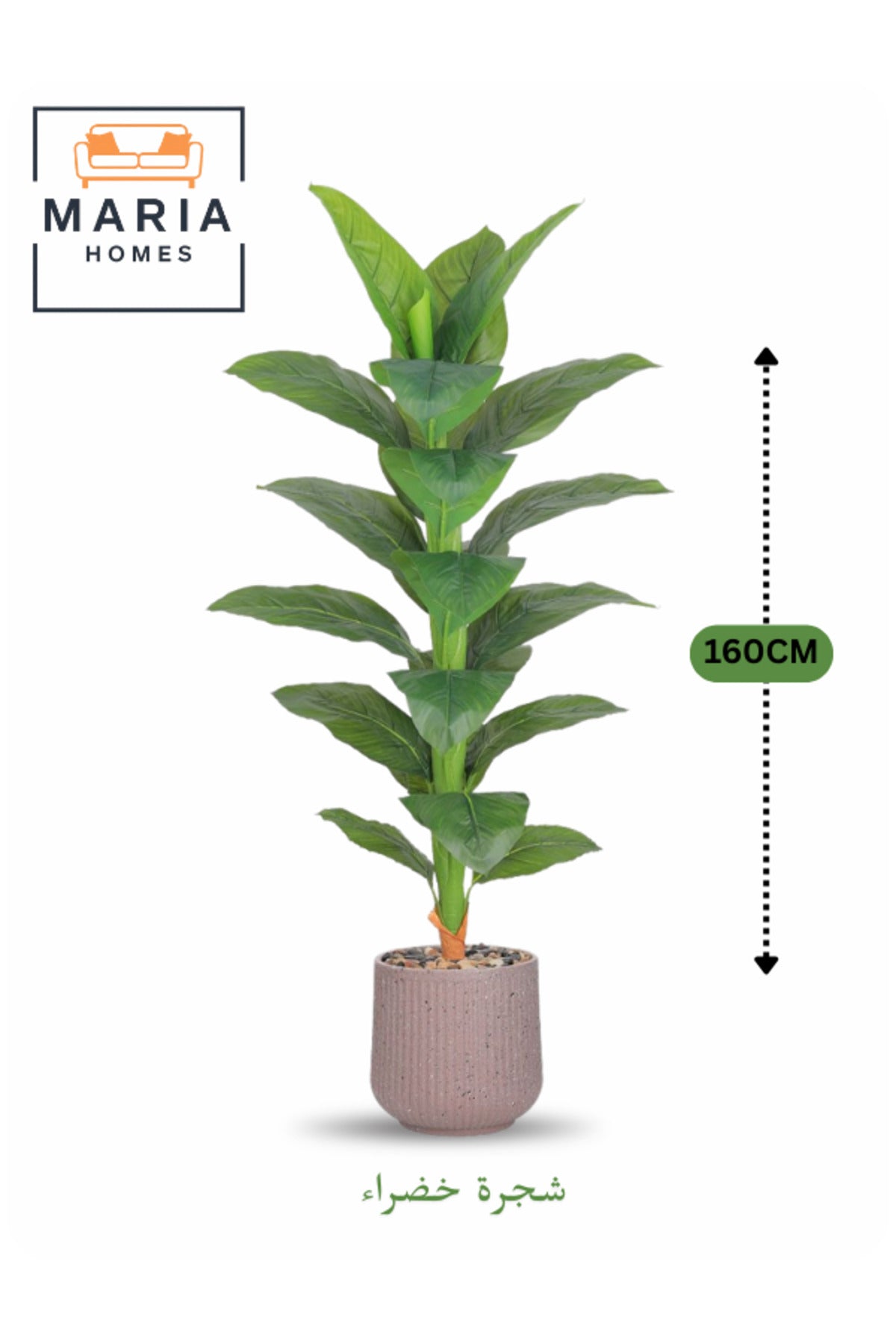 Artificial Large Green Leaf Tree 160 cm Ð Decorative Indoor Plant with Pot for Home & Office