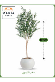 Artificial Olive Tree 190 cm Ð Tall Faux Indoor Plant with White Pot