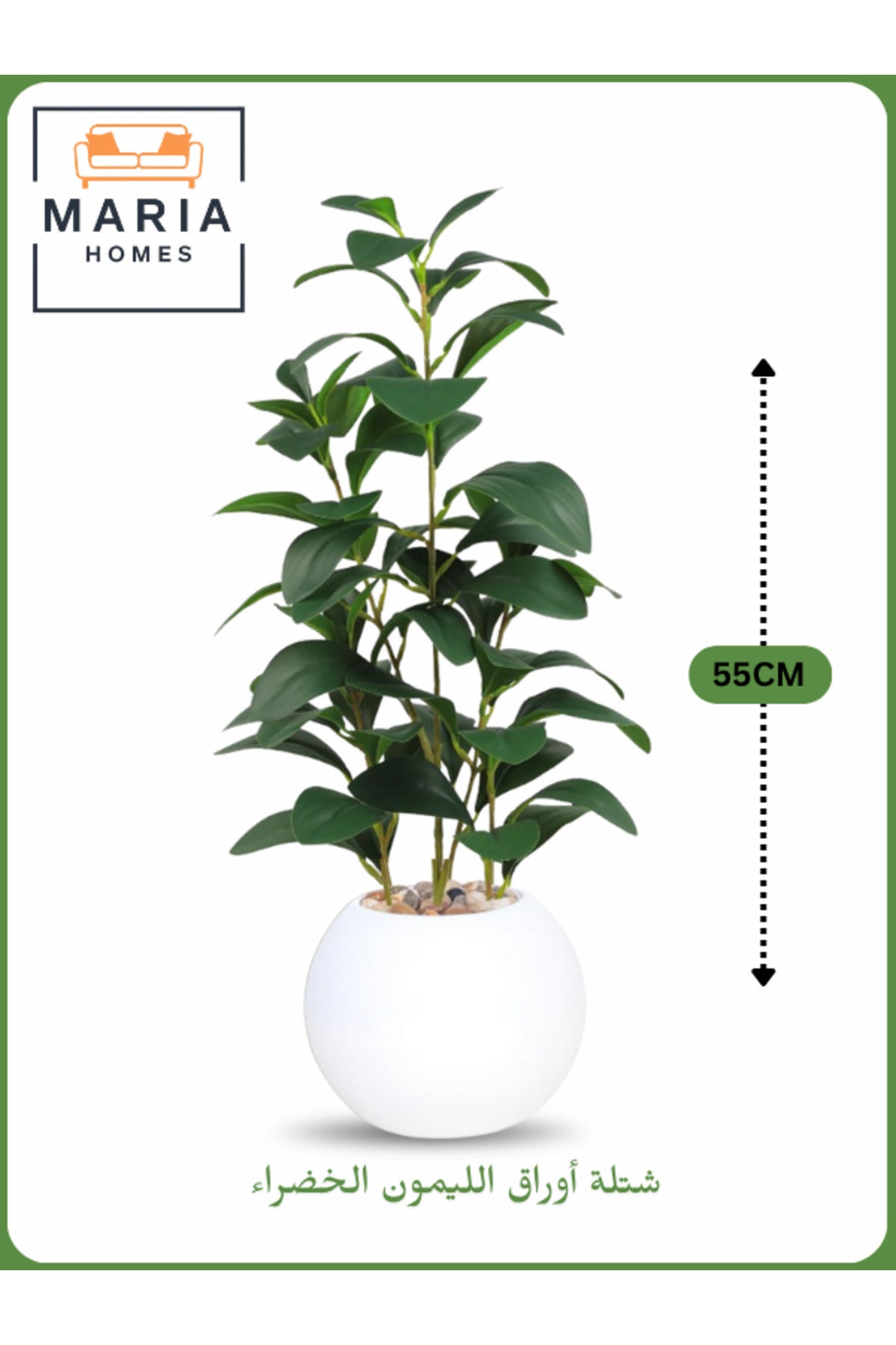 Artificial Lemon Leaf Plant 55 cm Ð Decorative Indoor Greenery with White Pot