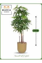 Artificial Aralia Tree 170 cm Ð 5 Branches with Beige Plastic Pot