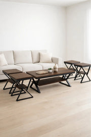 Modern 5-Piece COFEE Center Table Set with Metal Frame and Wood Finish