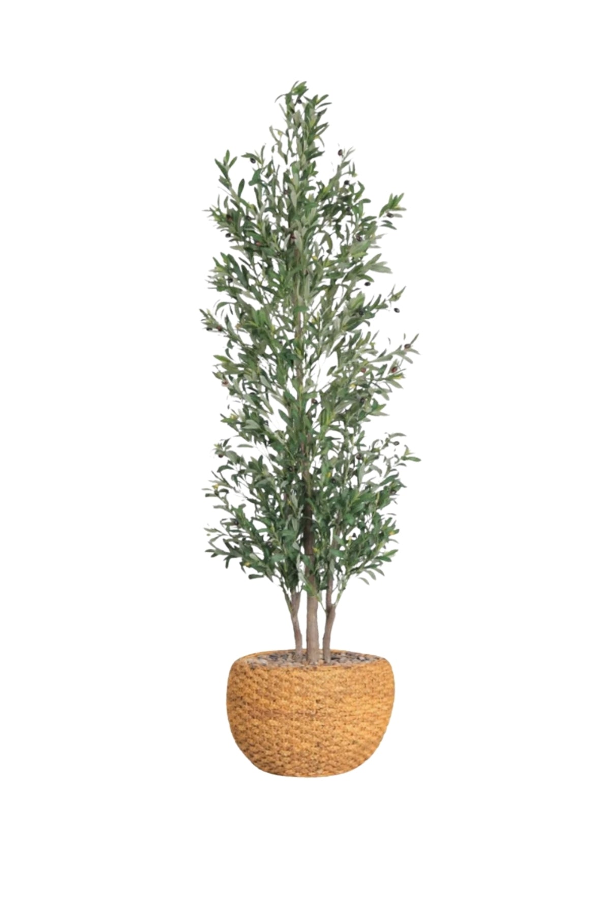 Artificial Olive Tree 210 CM with Yellow Decorative Pot – 3 Branches Indoor & Office Plant