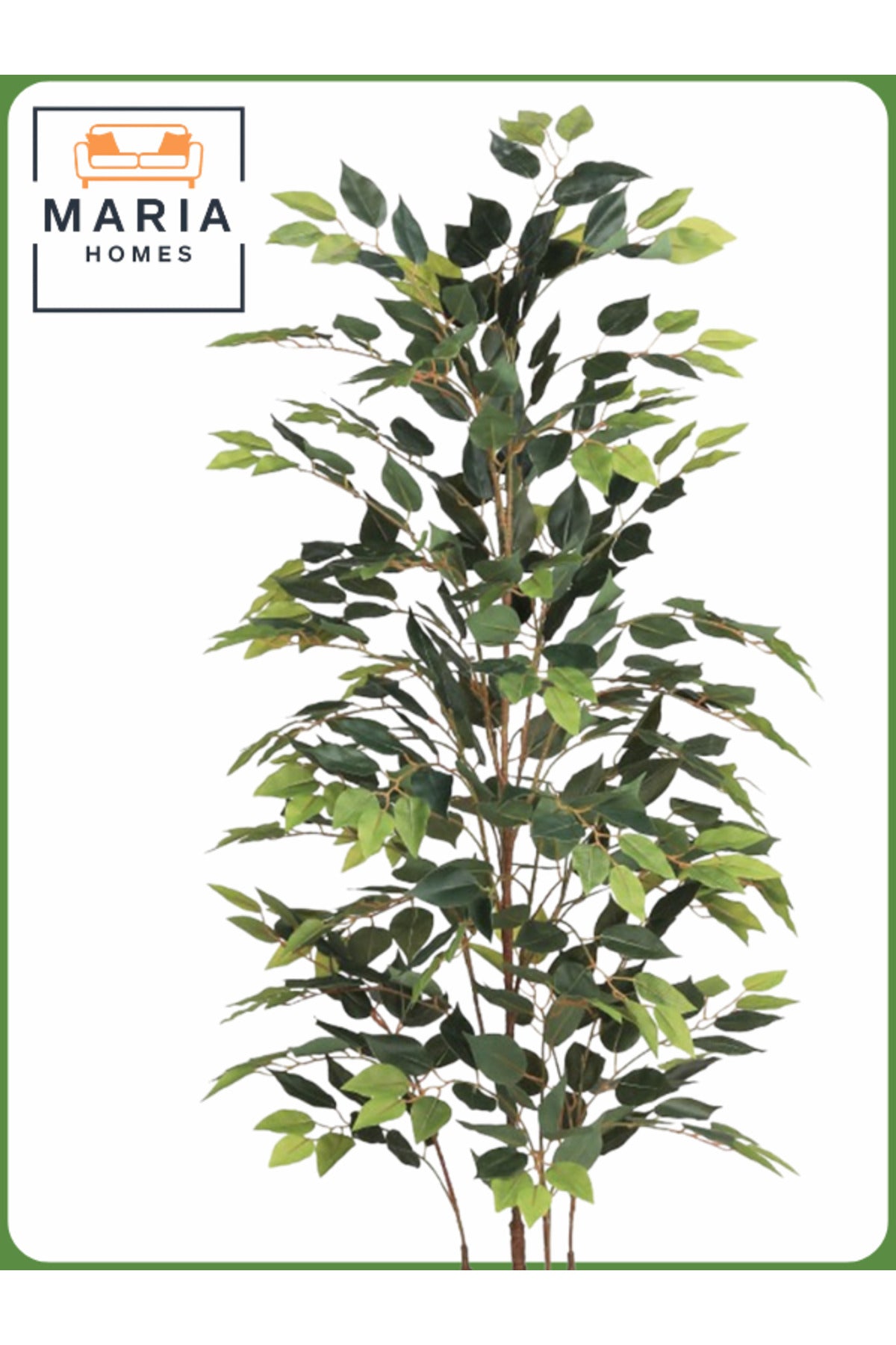 Artificial Ficus Tree 170 cm – Decorative Indoor Plant with white Pot