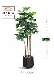Artificial Schefflera Tree 155 cm Ð Indoor Decorative Plant with Black Pot, 3 Branches