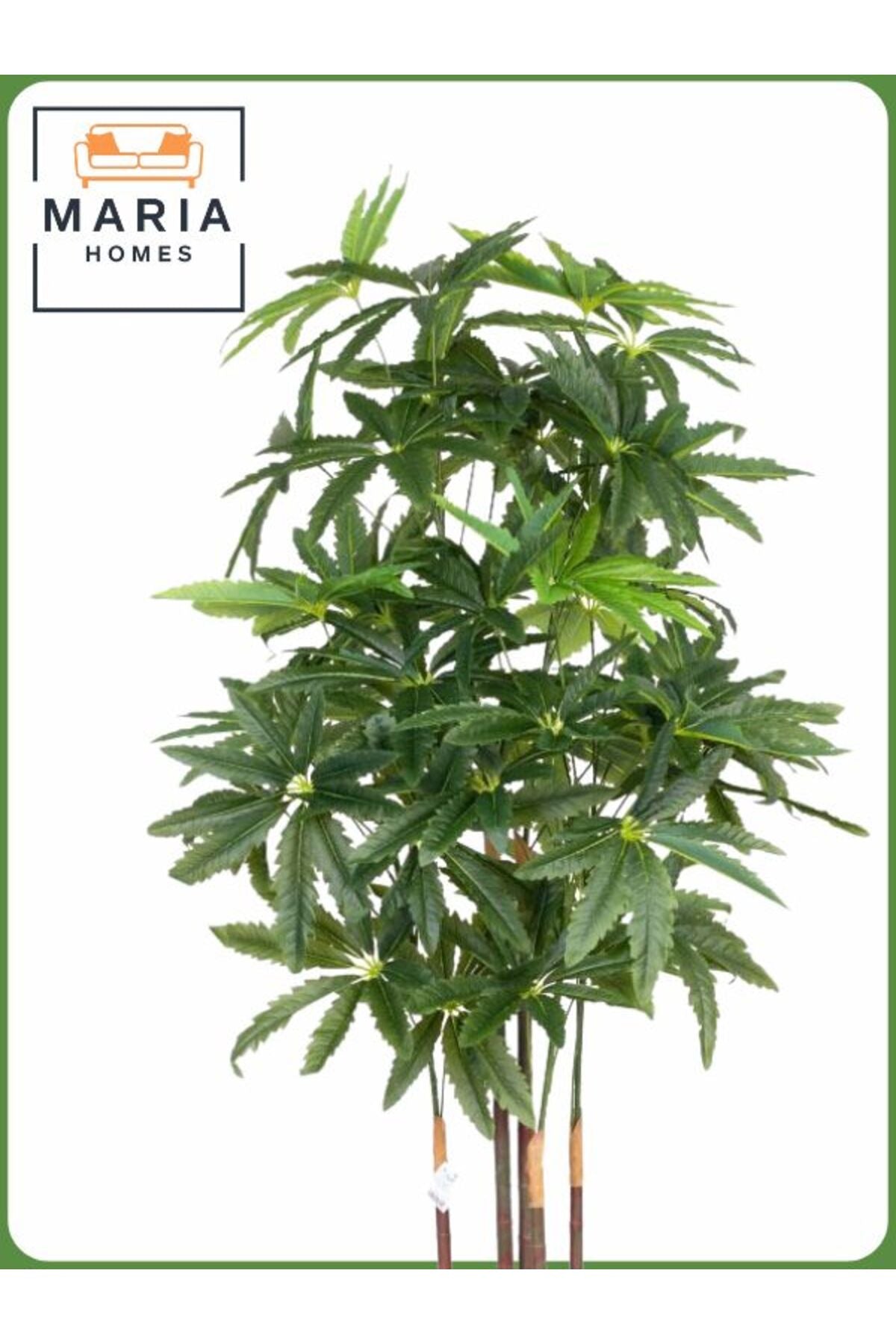 Artificial Aralia Tree 175 cm – 5 Branches in Beige Plastic Pot